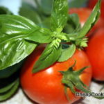 fresh tomatoes for marinara sauce