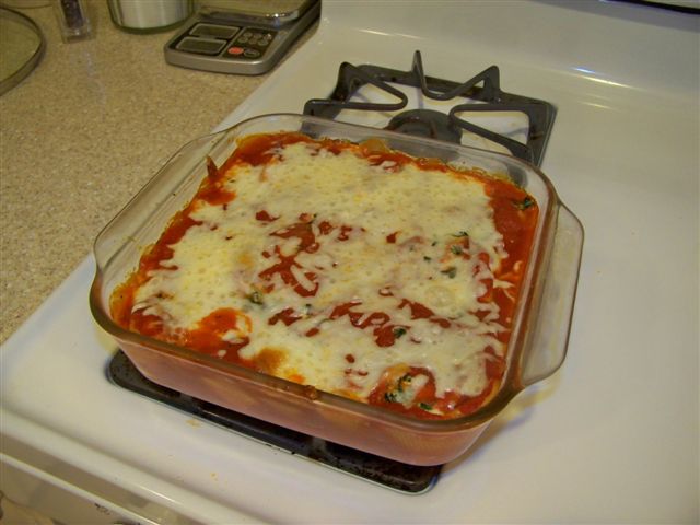 cheese and spinach stuffed shells