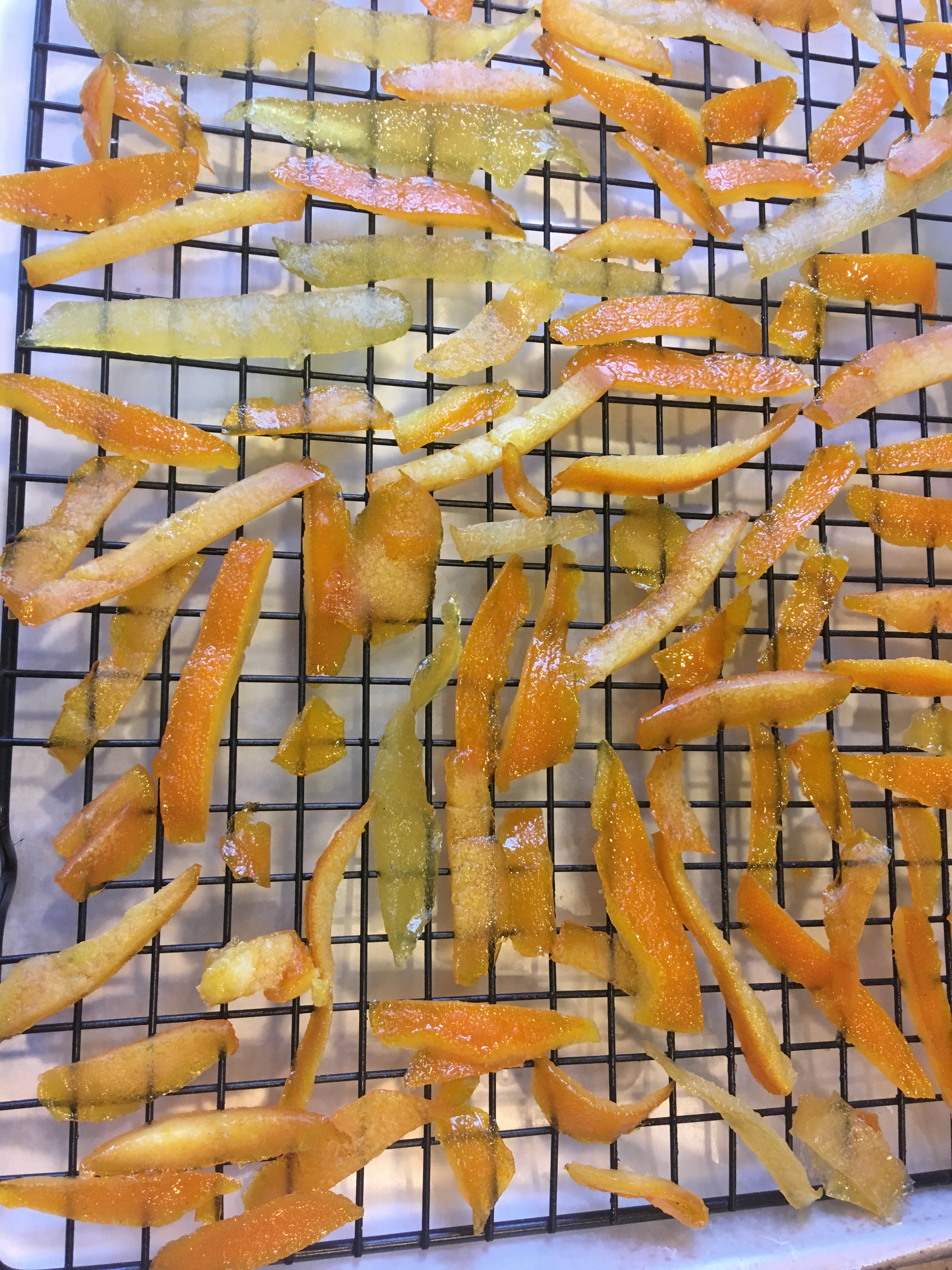 candied orange peel