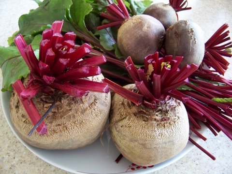 Beets from the garden