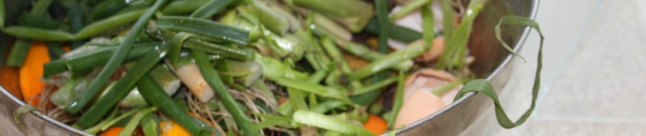 Compost Bowl