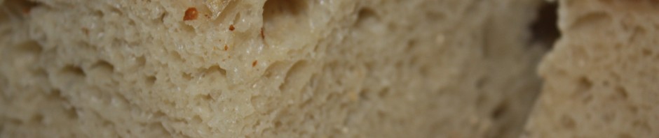 no-knead bread